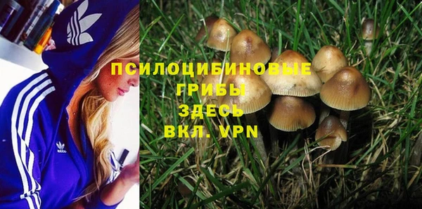 СК Лиски
