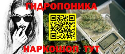 бошки Волгодонск