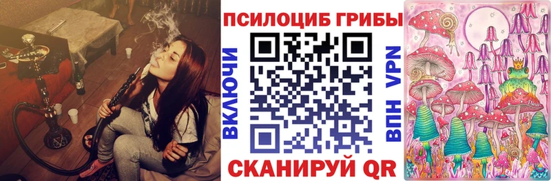 Псилоцибиновые грибы мухоморы  мега зеркало  Йошкар-Ола 